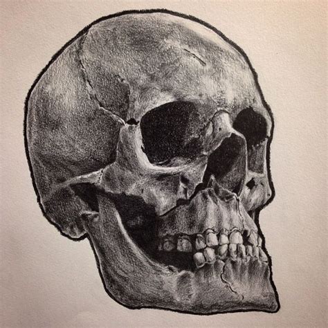 Realistic Human Skull Nassyart Drawings And Illustration People