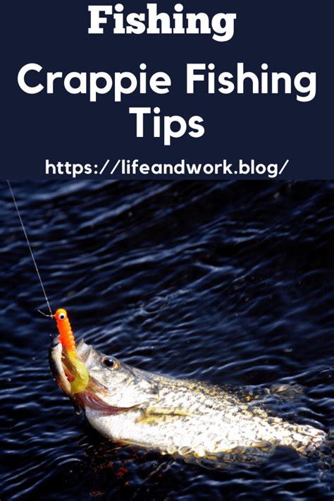 Crappie Fishing Tips Berts Blog