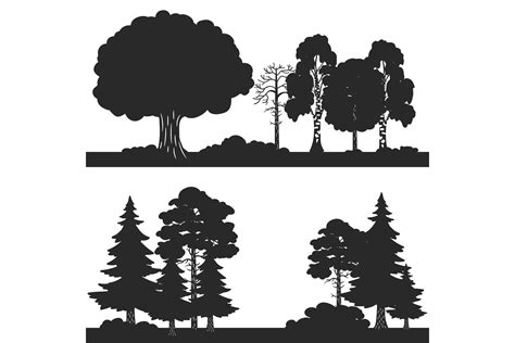 Black Vector Forest Trees Of Set Silhouettes Background 901147