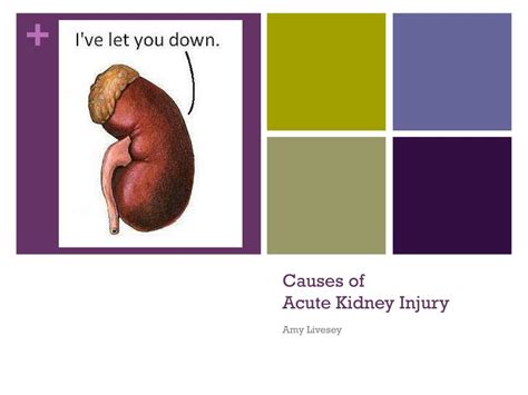 Ppt Causes Of Acute Kidney Injury Powerpoint Presentation Free