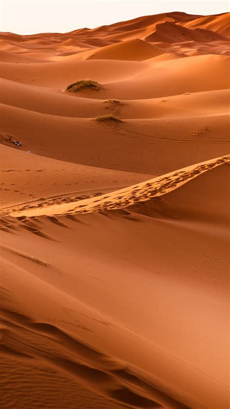 Download Wallpaper Sahara Desert 1440x2560