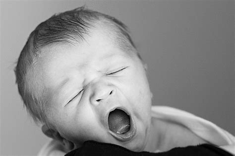 Royalty Free Photo Grayscale Photo Of Yawning Baby Pickpik