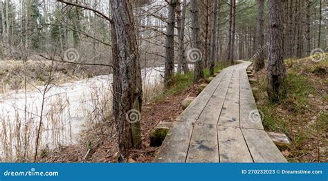 Nature View Of The Marsh With A Wooden Walking Path Winding Through The