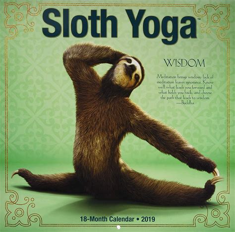 Sloth Yoga Calendar Popsugar Fitness Uk