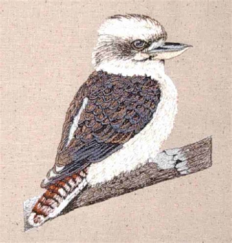 Kookaburra By Glenn Harris Out Ss17 Machine Embroidery Designs