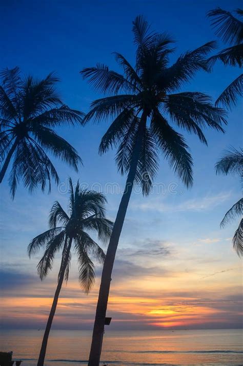 Beautiful Tropical Sunrise Seascape With Palm Trees Thailand Stock