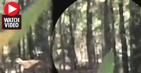 Bigfoot Spotted Chilling Footage Shows Beast Walking In Forest