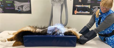 Radiographic Soft Tissue Positioning For Small Animals