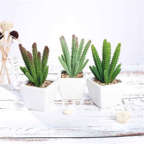 Set Of 3 Assorted Fake Succulents In Pot 7 Assorted Cactus