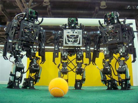 Romela Darwin Dynamic Anthropomorphic Robot With Intelligence