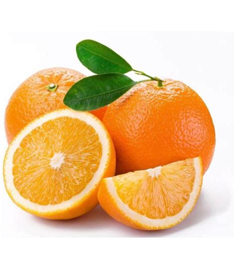 Orange Seeds Buy Orange Seeds Online At Low Price Snapdeal