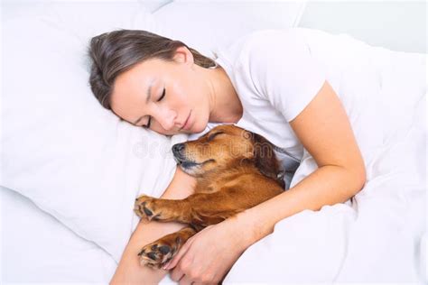 Woman Sleeping With Her Dog Lovely Dachshund Dog Sleeping With Owner