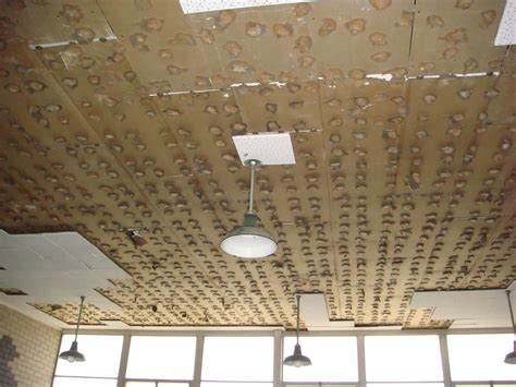 These can make a big difference in how the floor holds up. Asbestos Ceiling Tile Adhesive | Excessive moisture build ...