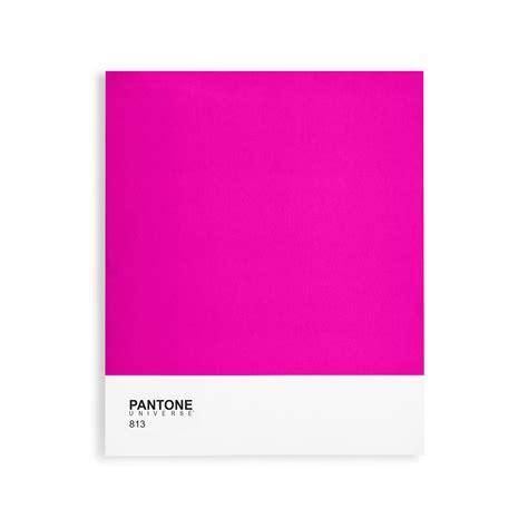 Classic Collection Bright Pink 813 Pantone Canvas Touch Of Modern