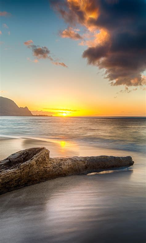 1280x2120 Driftwood On Beach At Sunset On North Shore Of Kauai 8k