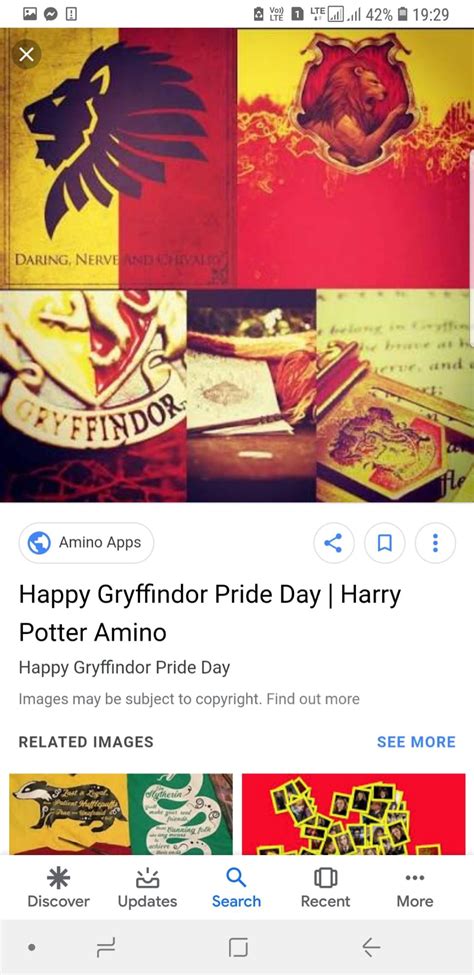 Happy Gryffindor Pride Day 🌷🌷🌷im Proud To Be A Gryffindor Fandom