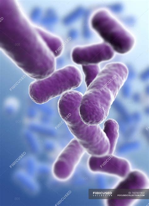 Artwork Of Rod Shaped Bacteria — Details Escherichia Stock Photo