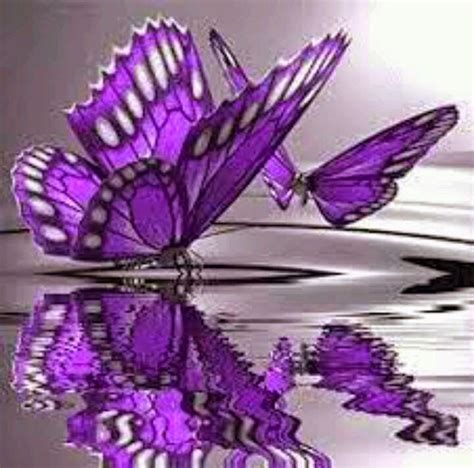 Lovable Images Butterflies Mobile Background Pictures Beautiful
