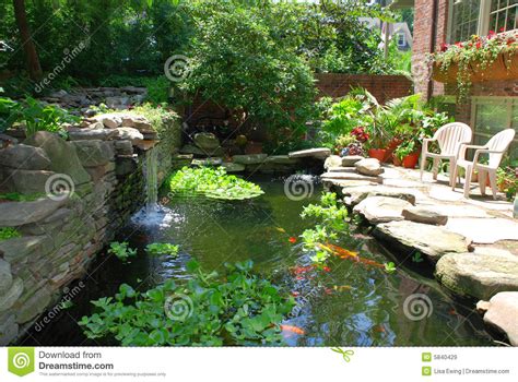 Fish Pond Stock Image Image Of Exterior Fishes Fish 5840429