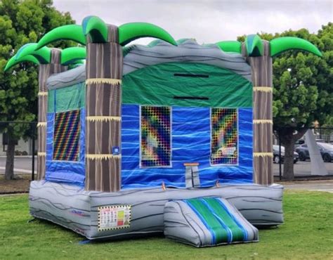 Tropical Jumper For Rent Tropical Bounce House North County Jumpers
