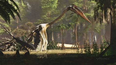 Worlds Largest Pterosaur Leaped Aloft To Fly Ut News