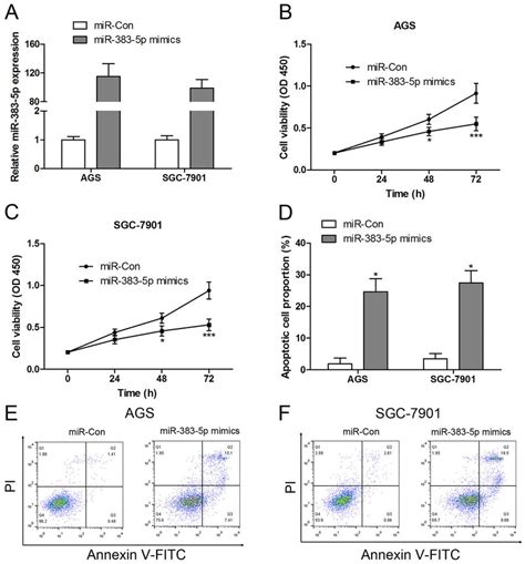 overexpression of mir 383 5p inhibited cell proliferation and induced download scientific