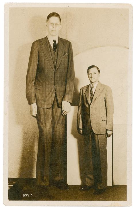 Top 10 Tallest Person In The World