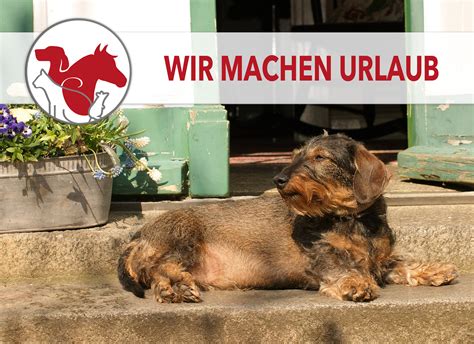 Die uns dankenswerterweise vertretenden kollegen sind: Tierärztliche Praxis für Groß- und Kleintiere Dr. Sülzle