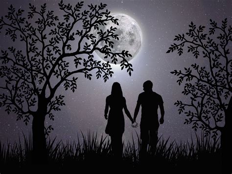 無料画像 愛 ロマンチック 一緒に 感情 カップル シルエット ファンタジー 闇 黒と白 木 空 月光 雰囲気