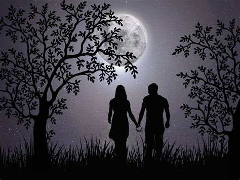 Looking for images that convey romance in a tasteful and original way? Free Images : love, romantic, night, together, feelings, couple, silhouette, moon, fantasy ...