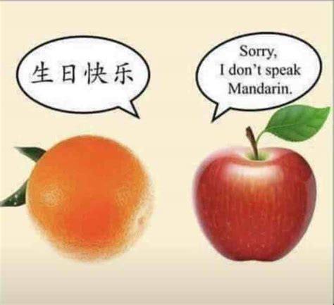 Chinese Jokes Memes The Secret Way To Learn A Language