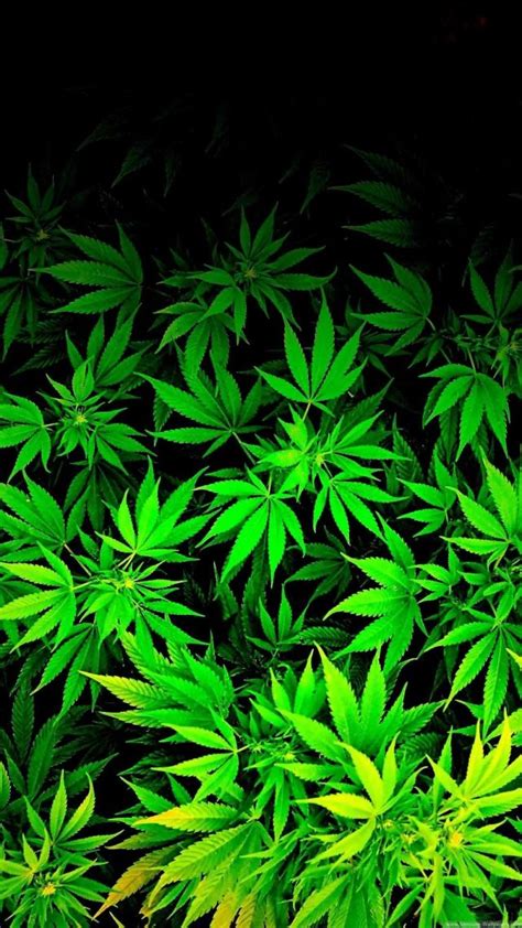 6 Weed Iphone Wallpapers Wallpaperboat