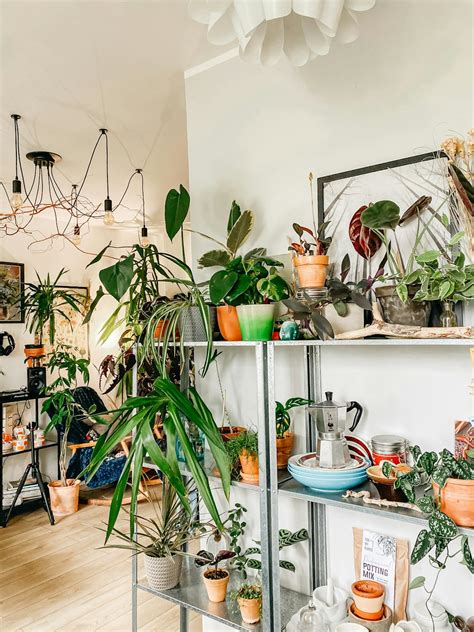 Interior Of Modern Apartment With Collection Of Potted Houseplants