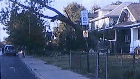 Video Captures Scary Moment A Large Tree Falls Onto Passing Vehicle On