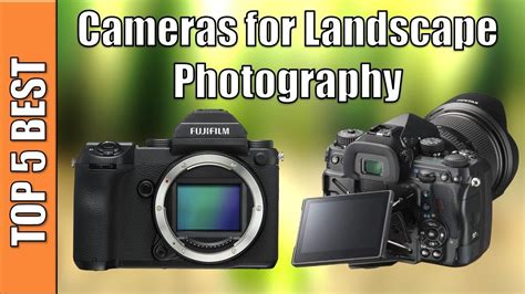 Top 5 Best Cameras For Landscape Photography Reviews 2020 Photography