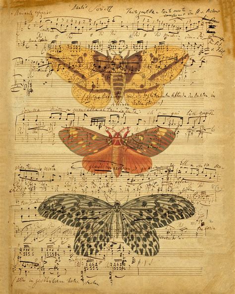 Vintage Music Sheet Music Sheets Butterfly Art Musical Etsy