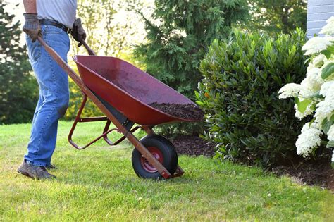 Planet Green Bc Lawn Care Landscaping Hardscaping Services