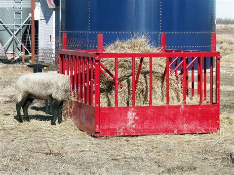 Sheep Hay Feeder The Hay Mizer