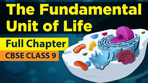 The Fundamental Unit Of Life In 1 Shot Full Chapter Animation Class