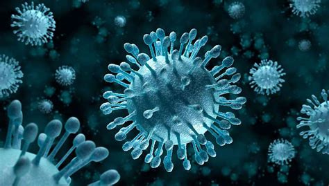 Quelles Sont Les Différences Entre Bactéries Et Virus