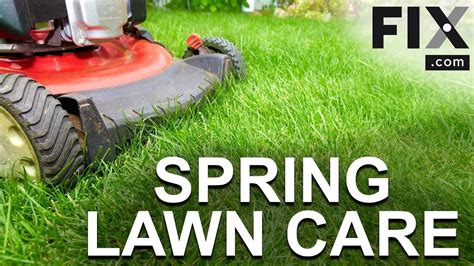 Top Lawn Care Tips For Spring How To Ensure Your Yard Looks Its Best
