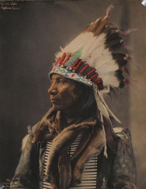 Chief Ghost Bull Ogallala Sioux Ca 1899 Hand Tinted Platinum Print