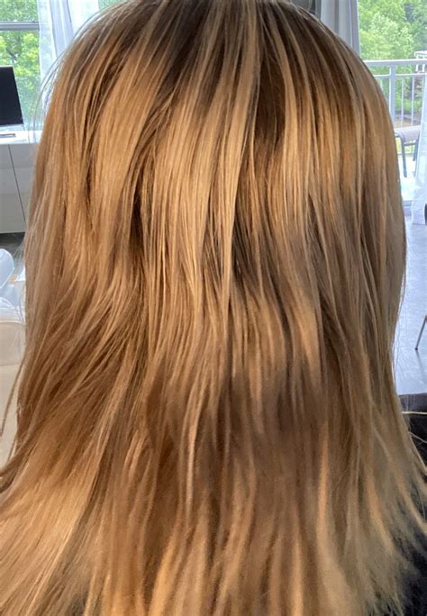 See Before And After Pictures Of Wella T Toner In Wella T
