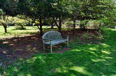 bench park seating free photo on pixabay pixabay