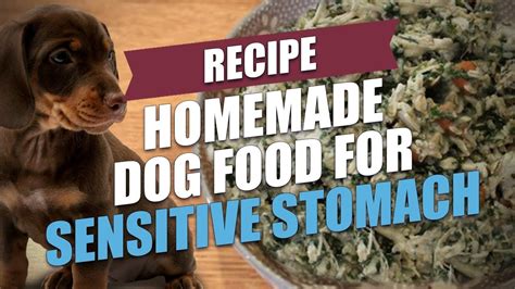 Does that happen after every meal? Homemade Dog Food for Sensitive Stomach Recipe (for GI ...
