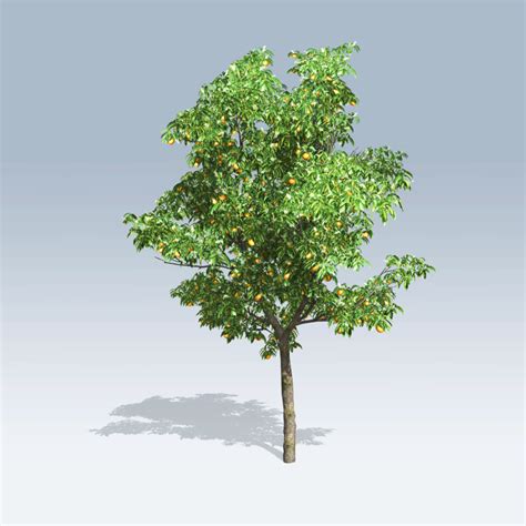 Check spelling or type a new query. Orange Tree (v6) - SpeedTree Store