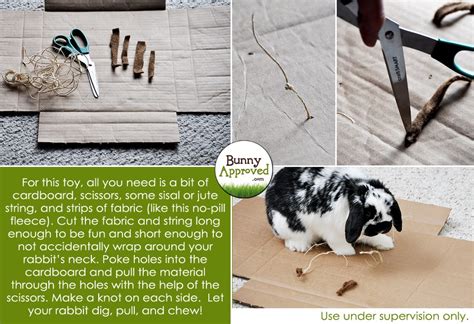 diy rabbit toy ideas bunny approved house rabbit toys snacks and accessories