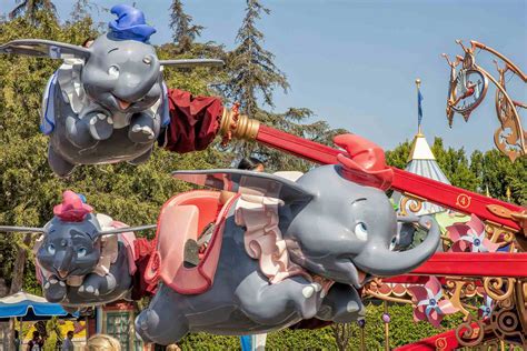 Dumbo Ride At Disneyland Things You Need To Know