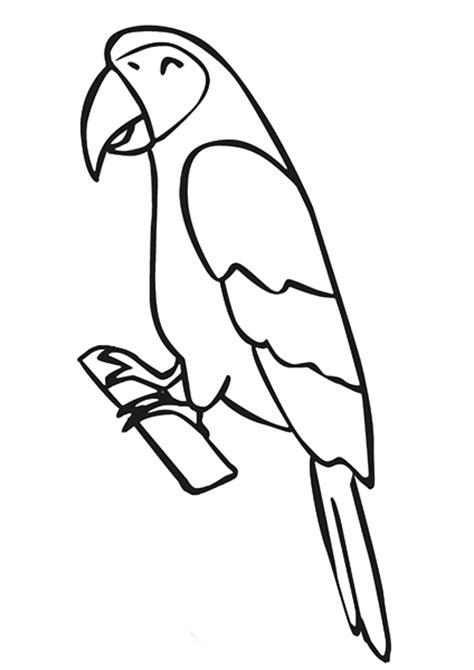 zoo coloring pages parrot funnycrafts