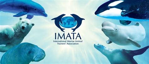 Home Imata International Marine Animal Trainers
